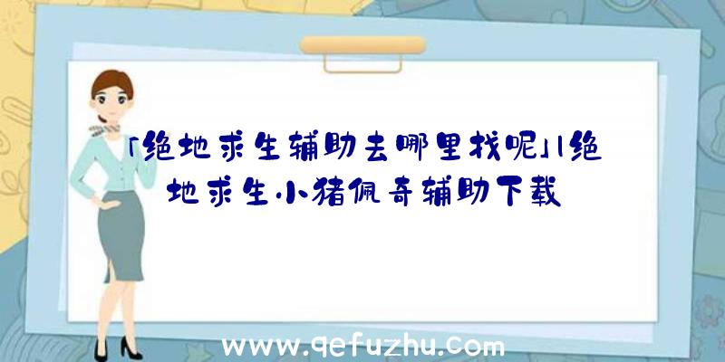 「绝地求生辅助去哪里找呢」|绝地求生小猪佩奇辅助下载